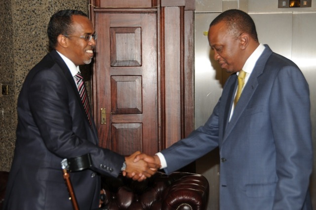 Al Shabaab War: Somalia pledge support for Kenya's Military Actions