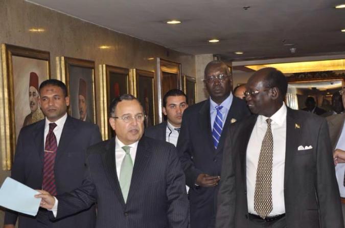 Egypt condemned South Sudan rebel leader Riek Machar