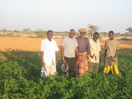 Somali Farmers Supply High Quality Food to the World Market