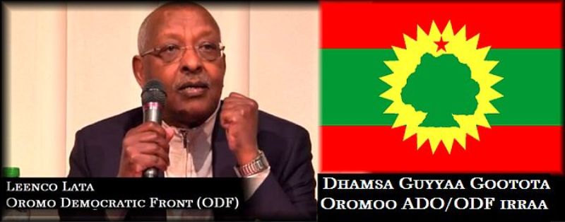 Ethiopia: Exploring New Oromo Political Alternatives