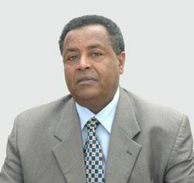 Eritrea: In South Africa Diaspora approach to enhance role in State affairs