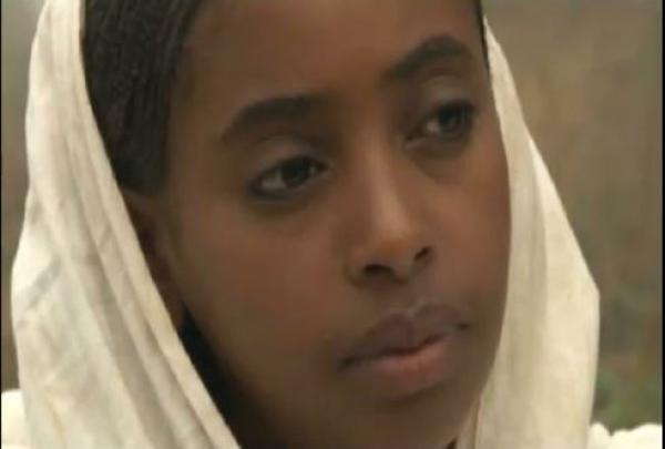 Eritrean Movies copyright Discussion (VIDEO)