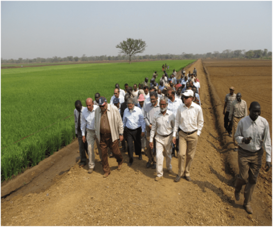 Ethiopia: Agricultural land issues and the Lesson learned Paraguay's Forgotten Coup