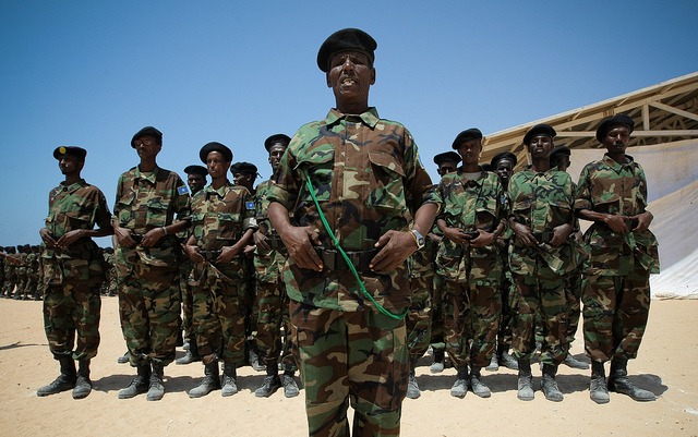 Somalia: National integration force is crucial for regional security