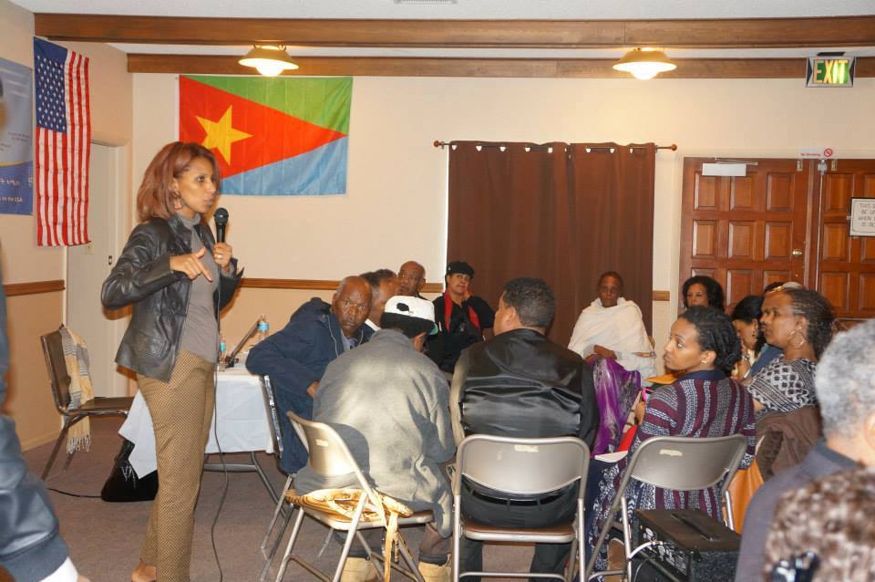Eritrea: Council of Eritrean Americans National Common Vision for 2015