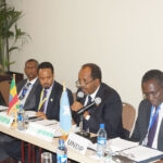 IGAD: Ministers Plead for the Positive Effects of Remittance