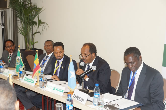 IGAD: Ministers Plead for the Positive Effects of Remittance