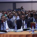 Ethiopia: The Power of the Diaspora Networks