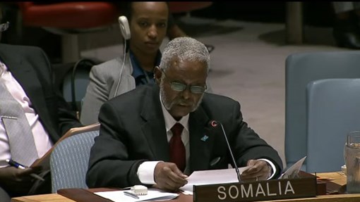 Eritrea: UN Security Council's resolution reaffirms arms embargo on Eritrea and somalia