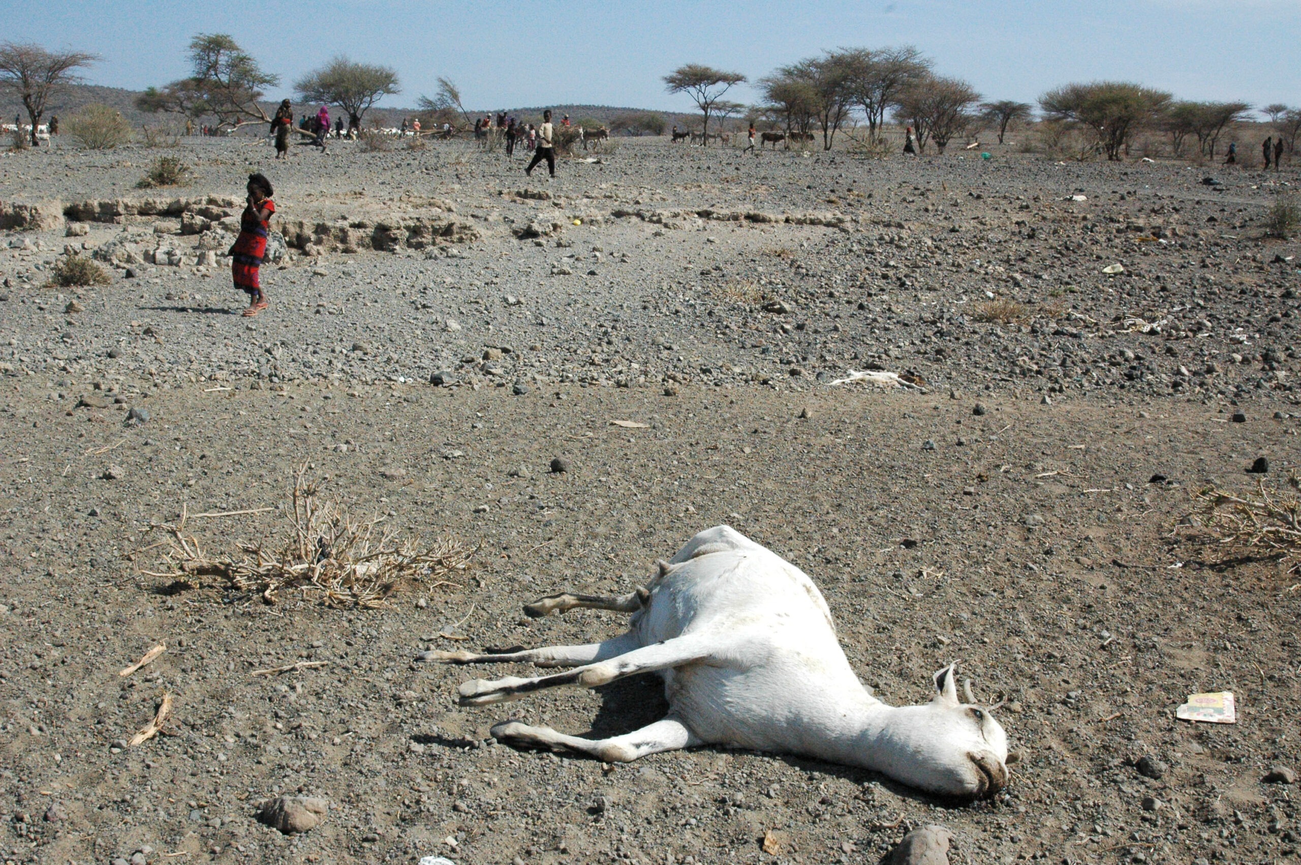 Ethiopia: Tanzania Threatens to Deport Migrants from Drought-hit Ethiopia