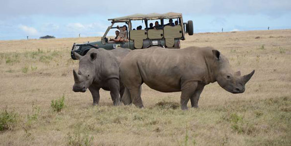 Kenya Upbeat UK Tourist Arrivals to Peak in Two Years