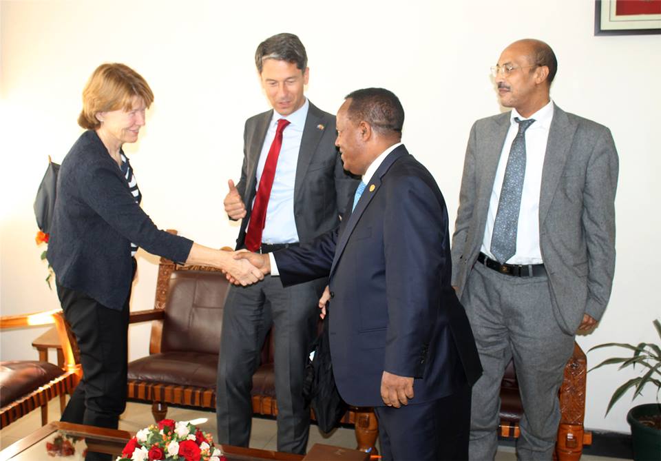 Ambassador Taye Atske-Selassie Meets with Ambassador Marika Fahlen