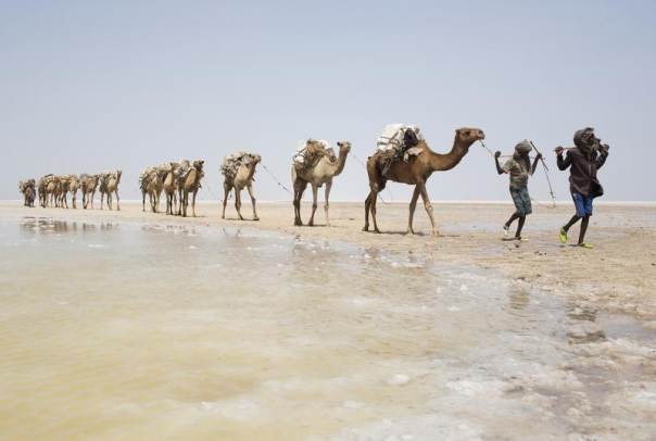Ethiopia: Negotiations in Paris as Drought Wreaks Havoc in Africa