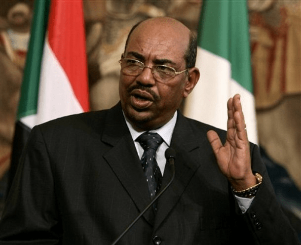 Sudan’s Bashir says he will step down by 2020