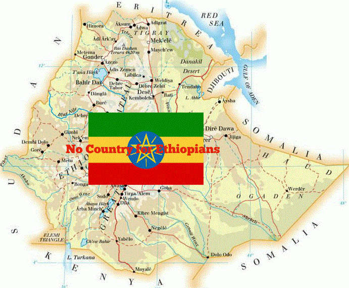 Ethiopia: No Country Left for Ethiopians?