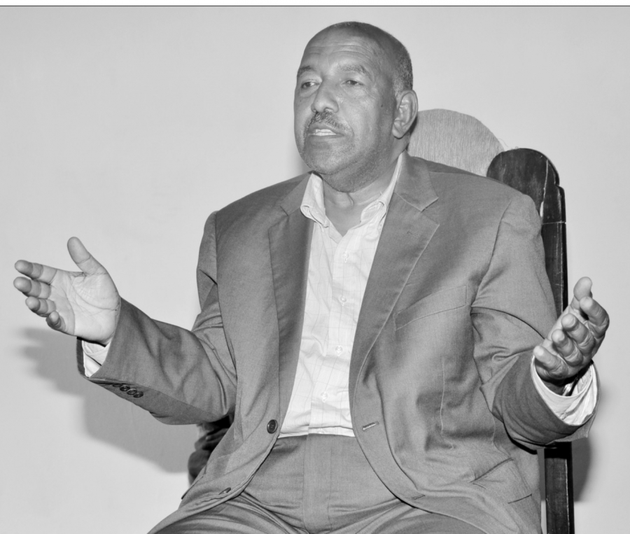 Ethiopia: Ethiopia, Islam and the Muslim World in the Eyes of Dr. Adam Kamil