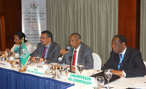 Somalia: 55th IGAD Council of Ministers – Moving Forward in Somalia and South Sudan