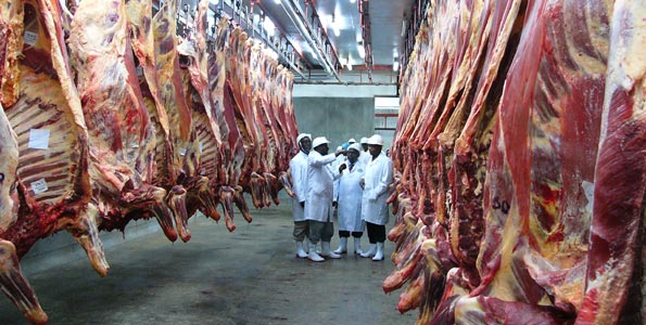 Dubai Police Arrested Seven Ethiopian Meat Trader