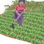Uganda, Malawi farmers to gain from One Acre financing