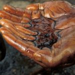 Oil firm plans to build $500m refinery in South Sudan