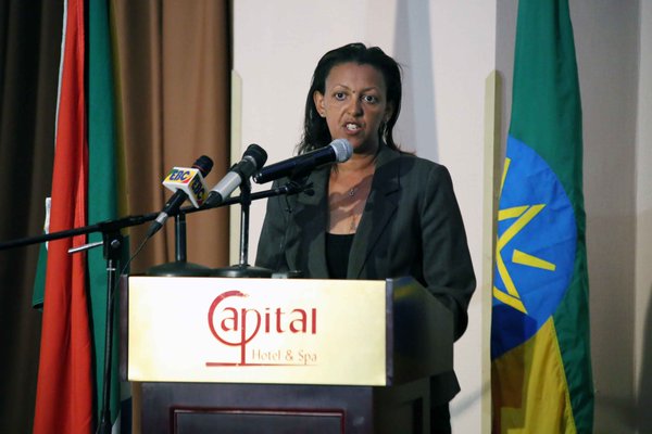 Ethiopia Has Become Centre of Anchor for Investors – Hirut Zemene