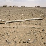 Horn of Africa braces for another hunger season