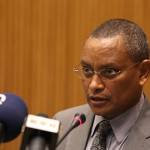 Interview: TPLF is Not Fully Responsible for Some Issues in Ethiopia: Dr Debertsion