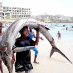 Sustainable Fishing Sector in Somalia