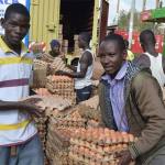 Kenya hints at lifting embargo on Uganda poultry imports