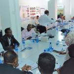 NEW ACADEMIC PROGRAMMES IN SOMALIA