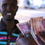 SomaliCoin: EURO-pegged stablecoin? Somali financial system