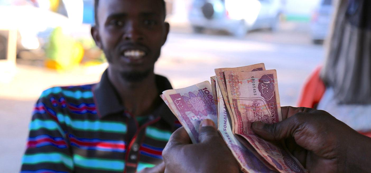 SomaliCoin: EURO-pegged stablecoin? Somali financial system