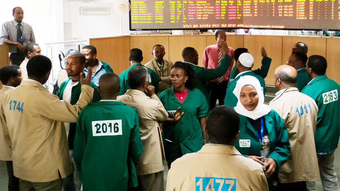 Ethiopia: ECX volume goes down while value goes up