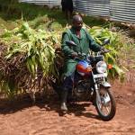Kenya says Tanzania, Uganda are distorting maize market
