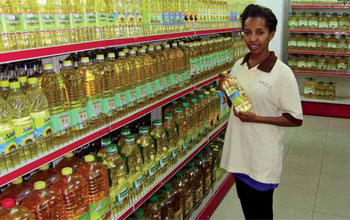 Ethiopia: Govt Marks First Sunflower Import in Bid to Diversify Oil Market