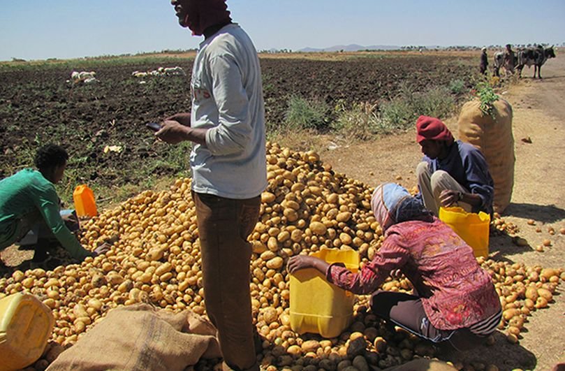Eritrea: Hope Has Given Way to Disenchantment