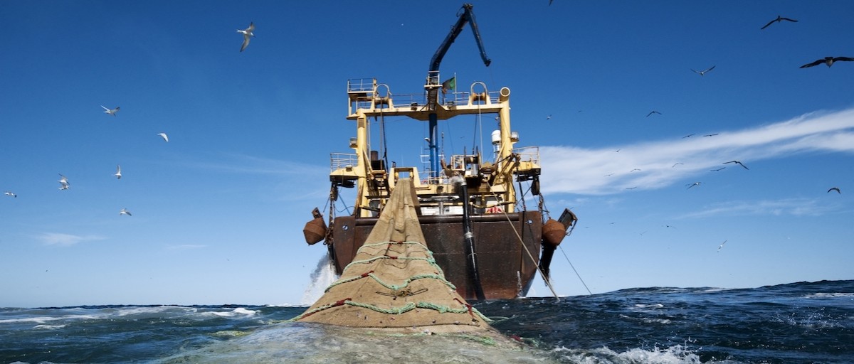 Somalia: Foreign trawlers, illegal fishing, $300m in revenue LOST