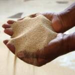Ethiopia: Fighting attempts to exploit a copyright on teff