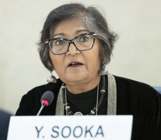 Yasmin Sooka, sudan
