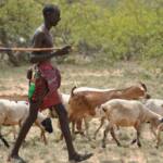 Kenya: Ethiopian Raiders Kill Four Herders in Turkana