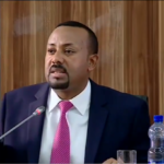 Ethiopia:Institutional Strength Over Institutional Strength
