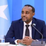 Somalia: PM announces cabinet line-up