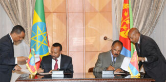 Eritrea:Reflections on the International Day of Peace