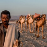 Eritrea: Afar Eritrea displacement
