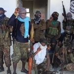 Jihadi Insurgency in Mozambique Grows in Sophistication and Reach
