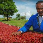 Ethiopia Records 6.1% Economic Growth