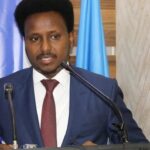 Somali Immigration Department Director Survives Explosion Attack