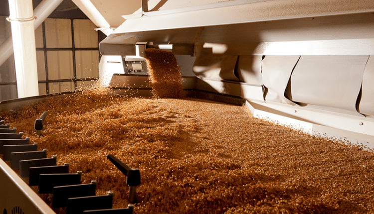Soufflet Malt Ethiopia To Start Production On March 2021