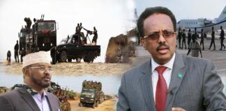 Affairs of Somalia. Kenya