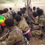 Ethiopia: Special Forces Takes Measures Against 370 OLF-Shene Members
